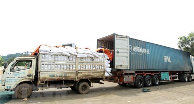 DỊCH VỤ HẢI QUAN NHẬP KHẨU PHÂN BÓN